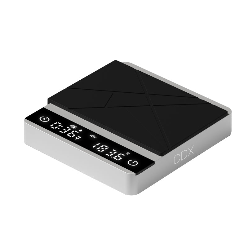 Mini-X scale
